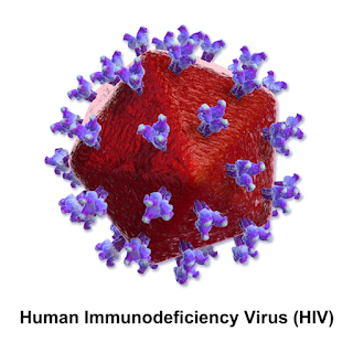 #thelancethiv #exclusif #immunoprophylaxie #virusadénoassocié Immunoprophylaxie vectorisée par virus adéno-associé pour la prévention du VIH chez des adultes sains : essai randomisé contrôlé