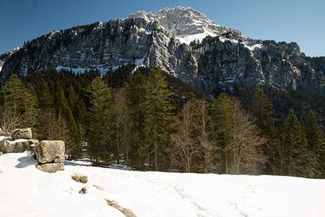 Randonnée raquette en Chartreuse depuis le Couvent Randonnée raquette en Chartreuse depuis le Couvent