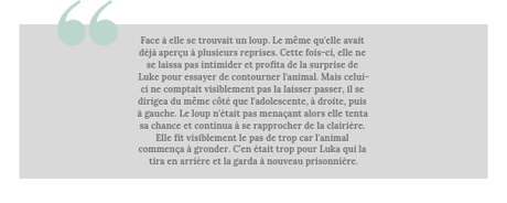 Les sorciers (Anthea #2) • Tia Wolff