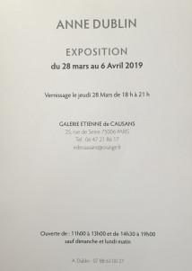 Galerie Etienne de Causans  ANNE DUBLIN  28 Mars au 6 Avril 2919