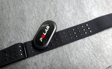Polar suprend son monde et ajoute ANT+ à sa ceinture H10 ainsi qu’au brassard OH1