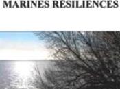 Silvaine Arabo [L’ombre lumière]