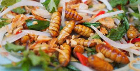 Manger des insectes comestibles : bientôt notre quotidien ?