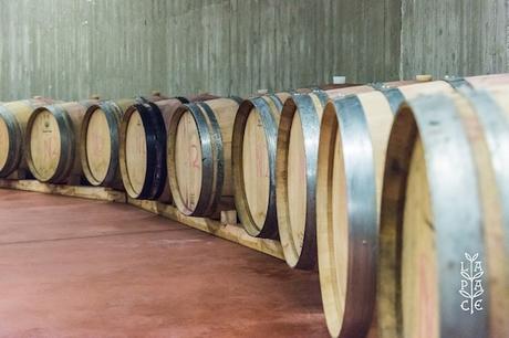 19264470_1920220214883521_8620846746280945140_o