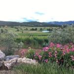 E-TV à la découverte des vignes Toscanes (Vidéo)