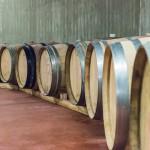 E-TV à la découverte des vignes Toscanes (Vidéo)