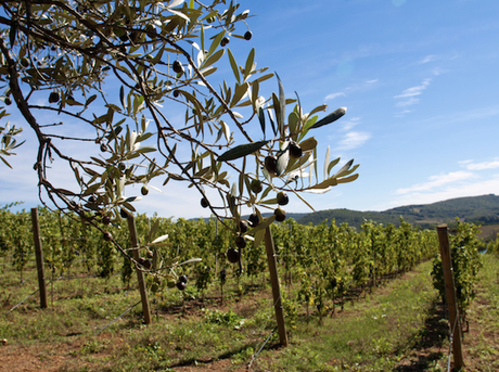 Capture d’écran 2019-03-21 à 14.06.44