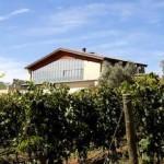 E-TV à la découverte des vignes Toscanes (Vidéo)