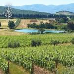 E-TV à la découverte des vignes Toscanes (Vidéo)