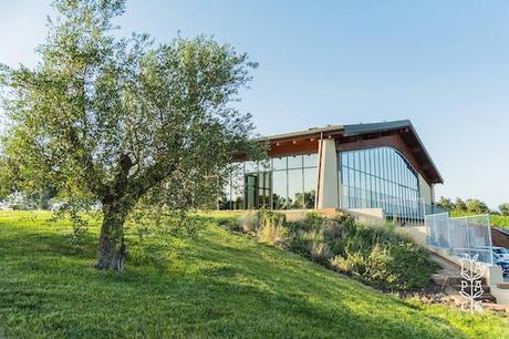 25358332_1984064648499077_1561564882702572222_o-1