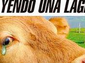 gouvernement pourrait perdre l’appui patronat agraire [Actu]