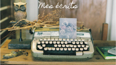 Mes écrits #3 : Mon livre