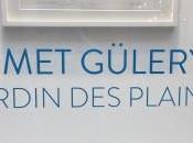 Galerie Cyril Guernieri exposition Mehmet Guleryuz jardin plaintes jusqu’au Avril 2019