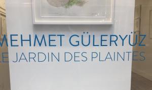 Galerie Cyril Guernieri  exposition  Mehmet Guleryuz  » Le jardin des plaintes » jusqu’au 6 Avril 2019