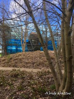 Océanie au Quai Branly