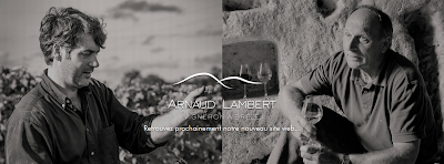 Visite des vignes et dégustation chez Arnaud Lambert (St Cyr en Bourg - Brézé)