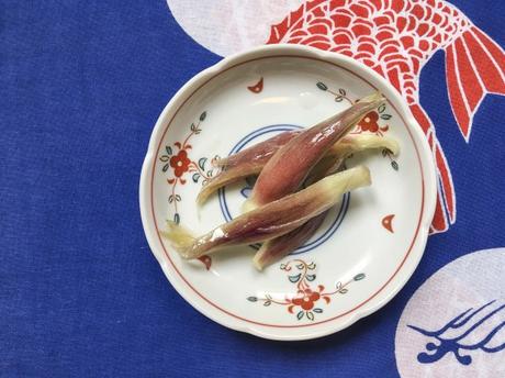 En bouton – Pickles : tsukemono de myoga