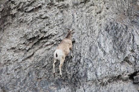 Pays Etranger - Etat de Washington - 3