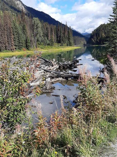 Pays Etranger - Etat de Washington - 3