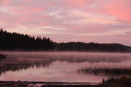 Pays Etranger - Etat de Washington - 3