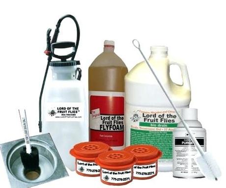 fruit flies in drain fruit fly solution drain fly solution clean drains get rid of fruit flies fruit fly problem drain fly problem a a fruit flies drain septic tank