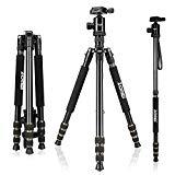 La tendance de l’ASMR : qu’est ce que c’est ? ZOMEi Z668C 165cm Trépied Appareil Photo/Monopode, Trépied en Fibre De Carbone, Pied Appareil Photo 4 Sections pour Caméra Caméscopes Noir