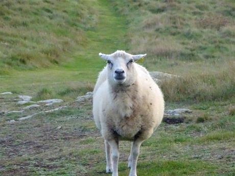 la mer revient toujours au rivage la mer revient toujours au rivage