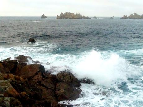 la mer revient toujours au rivage la mer revient toujours au rivage