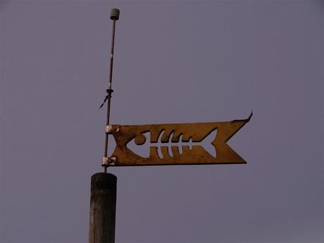 la mer revient toujours au rivage