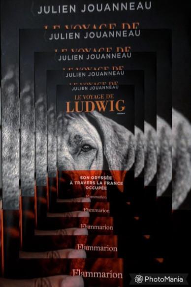 Le Voyage de Ludwig de Julien Jouanneau