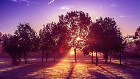 Au Coeur de l'Humiliation