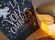 Voix ombres Frances Hardinge