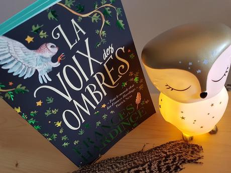 La Voix des ombres de Frances Hardinge