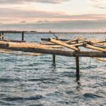 EVASION : Le Domaine Tarbouriech [France]