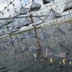 EVASION : Le Domaine Tarbouriech [France]