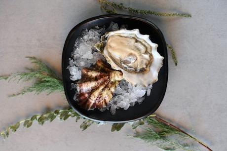 le-domaine-tarbouriech-france6