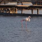 EVASION : Le Domaine Tarbouriech [France]