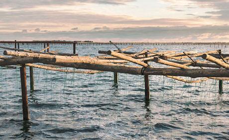 le-domaine-tarbouriech-france25