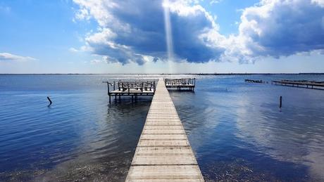 12828296_1018039954934115_8464926569229432074_o