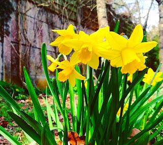 Wecasa : s’offrir du temps pour soi à la maison