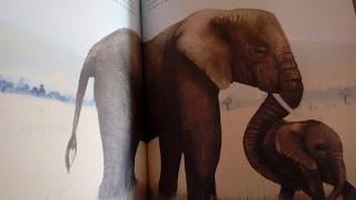 L'éléphant de Jenni Desmond