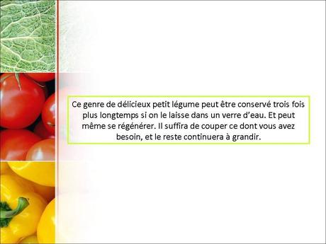 Divers - Fini les légumes qui s'abiment …..-2