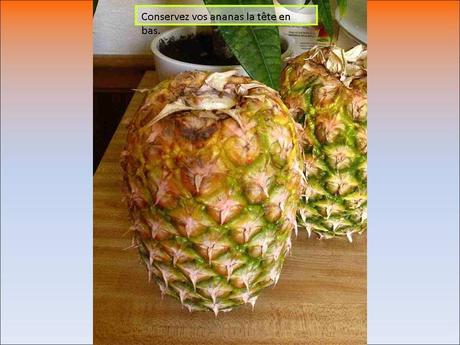 Divers - Fini les légumes qui s'abiment …..-2