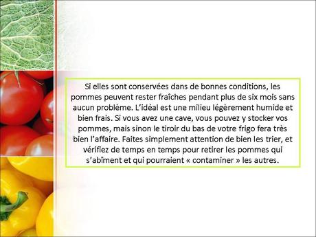 Divers - Fini les légumes qui s'abiment …..-2