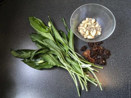 Version printemps – Pesto végétal d’ail des ours (et une recette de pâtes)