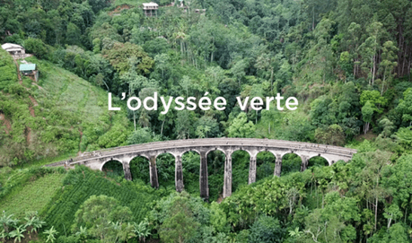 22 Avril : De Beaux projets pour la Journée de la Terre #SolidaritéTLM 22 Avril : De Beaux projets pour la Journée de la Terre #SolidaritéTLM