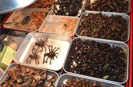 L'avenir de l'humanité ?