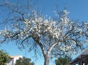 JARDIN cette mois MARS