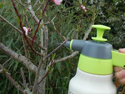 Test du Kit Pure Hozelock Test du Kit Pure Hozelock