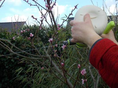 Test du Kit Pure Hozelock Test du Kit Pure Hozelock